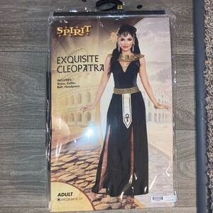 Spirit Halloween Cleopatra/Queen of the Nile costume